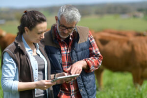 Gestionnaire d&rsquo;entreprise agricole